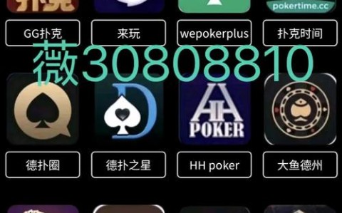 【2025用挂技巧】
