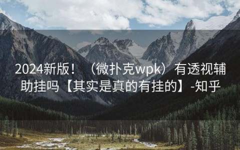 实测辅助“wpk俱乐部辅助作弊挂透视挂辅助安装！作弊辅助挂通用版 (透视 )