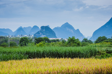 两点水都与什么有关 两点水的字大多与什么有关
