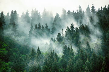 2秒懂!链接分享的麻将必赢神器开挂教程下载!详细分享装挂步骤